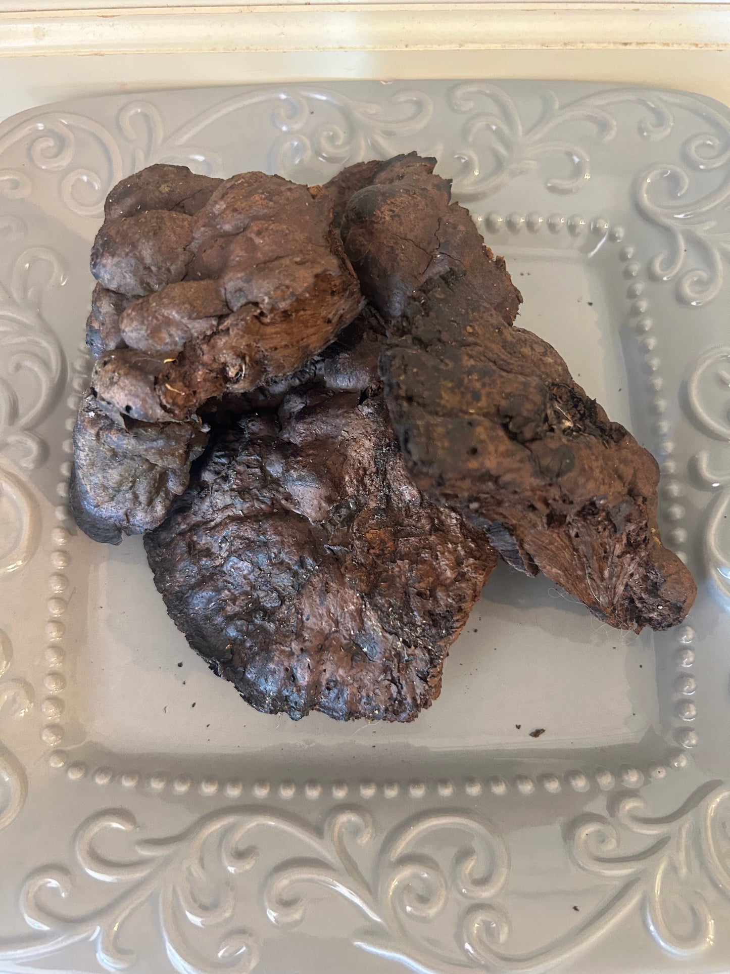 Dried Chaga $40 a lb